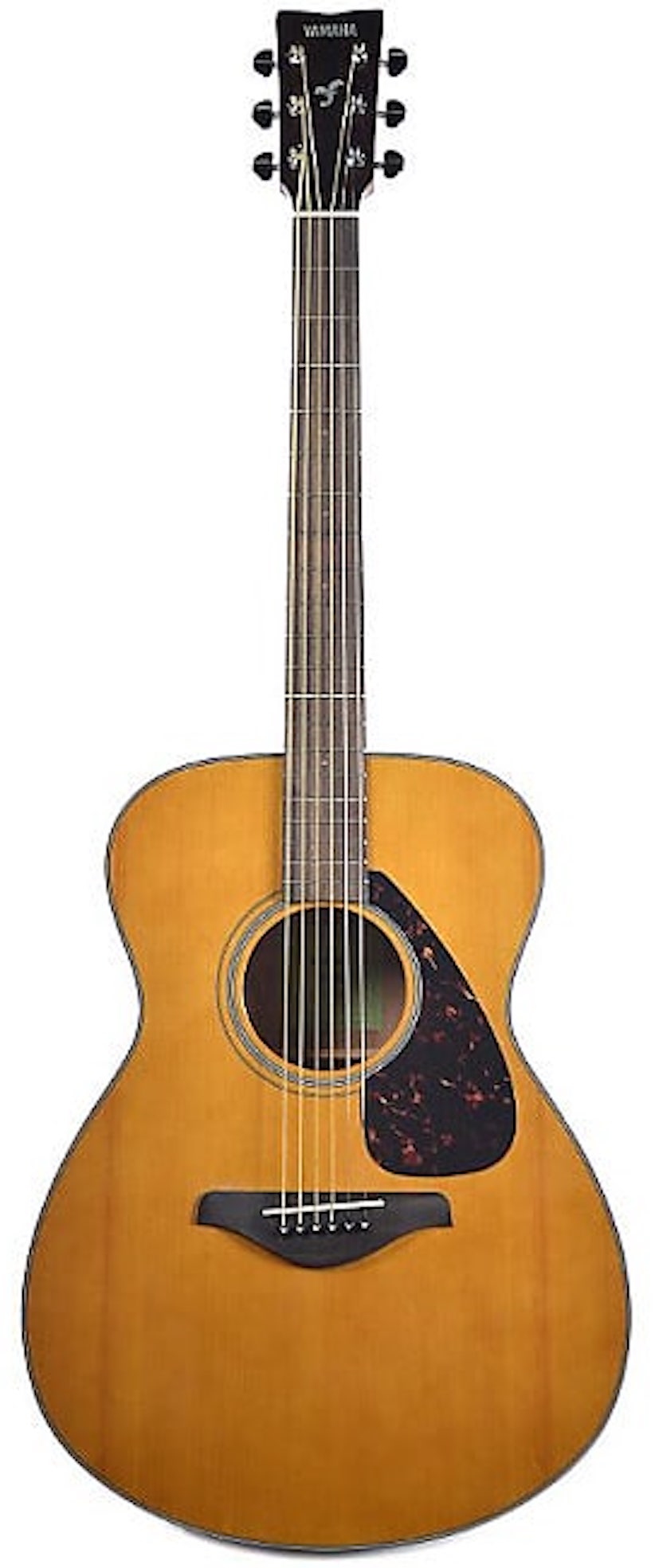 Yamaha FS800 T Acoustic Guitar - Tinted