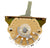 6-Way Oak Grigsby Switch- Allparts EP-0079-000