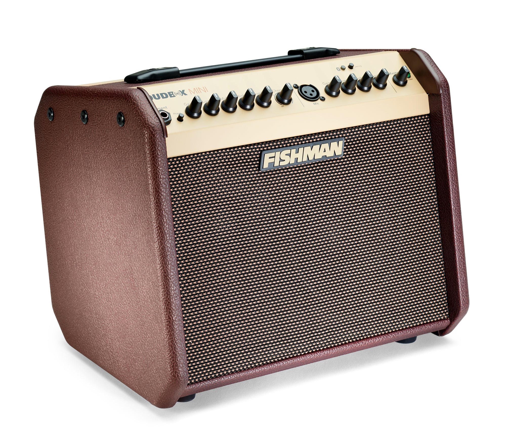 Fishman PRO-LBT-500 Loudbox Mini Amplifier+ BT