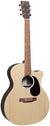 Martin GPC-X2E 02 Rosewood Guitar w/Gig Bag