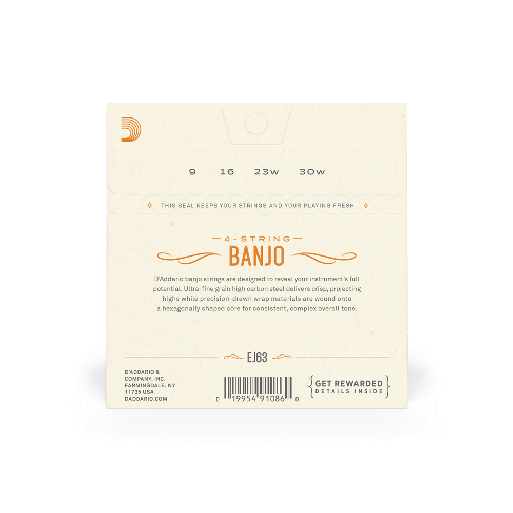 D'Addario EJ63 Tenor Banjo Nickel 9-30