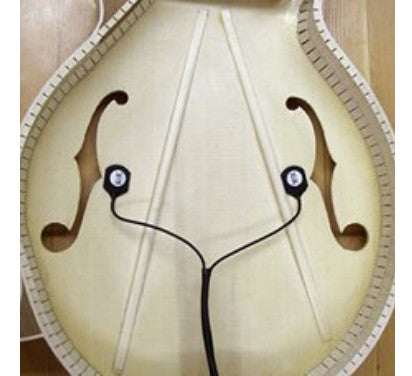 K&K Mandolin Twin Internal Pickup